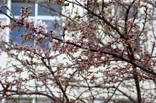 IMG_3869.JPG