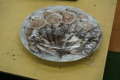 1501672505270.jpg