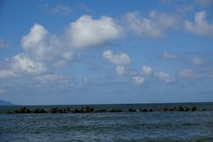1501672702974.jpg