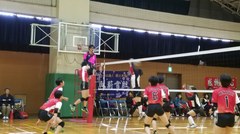 1543017821546.jpg
