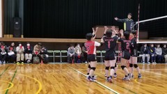 1553904295879.jpg