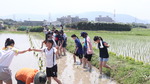 13074B0A-1D2A-4C89-8B0A-EA913EB56036.jpeg